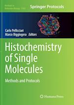 Histochemistry of Single Molecules