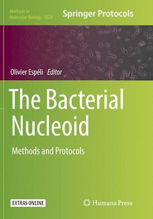 The Bacterial Nucleoid