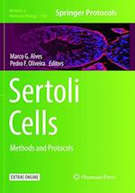 Sertoli Cells