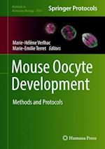 Mouse Oocyte Development