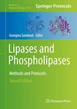 Lipases and Phospholipases