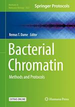 Bacterial Chromatin