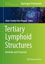 Tertiary Lymphoid Structures