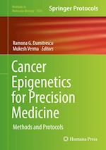 Cancer Epigenetics for Precision Medicine