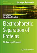 Electrophoretic Separation of Proteins