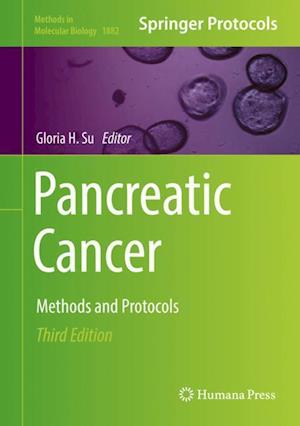 Pancreatic Cancer