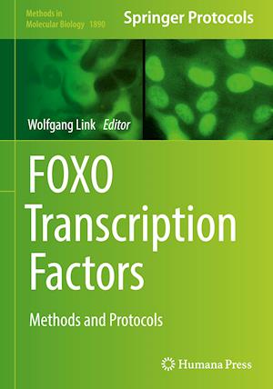 FOXO Transcription Factors