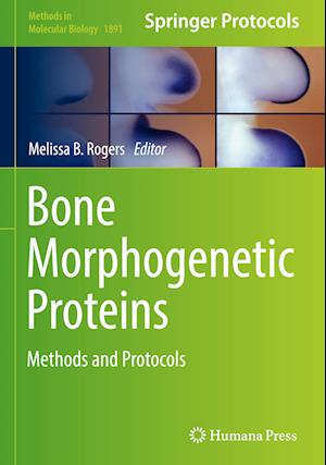 Bone Morphogenetic Proteins