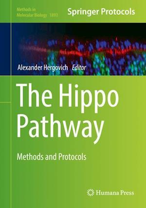 The Hippo Pathway