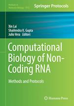Computational Biology of Non-Coding RNA