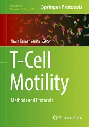 T-Cell Motility