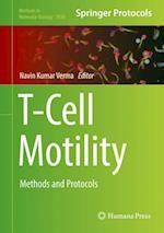 T-Cell Motility