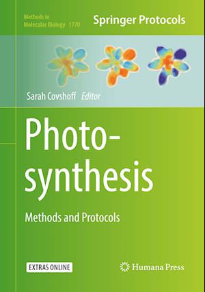 Photosynthesis