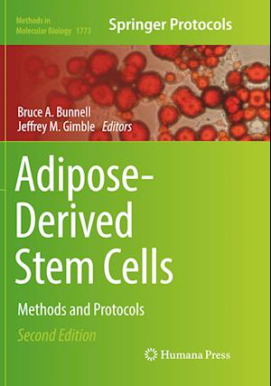 Adipose-Derived Stem Cells