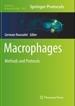 Macrophages