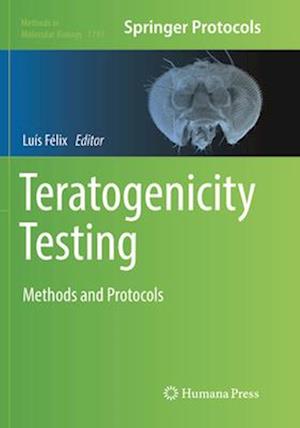 Teratogenicity Testing