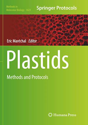 Plastids