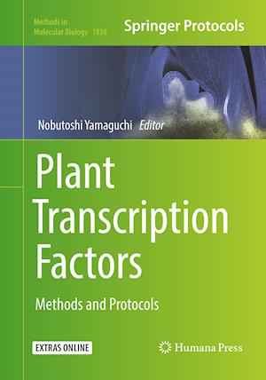 Plant Transcription Factors