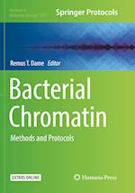 Bacterial Chromatin