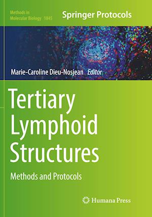 Tertiary Lymphoid Structures