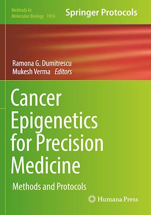 Cancer Epigenetics for Precision Medicine