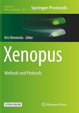 Xenopus