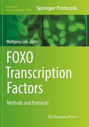 FOXO Transcription Factors