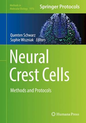 Neural Crest Cells