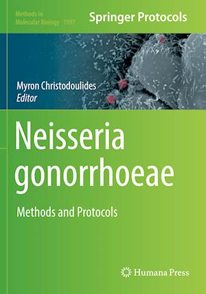 Neisseria gonorrhoeae