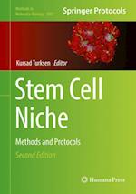 Stem Cell Niche