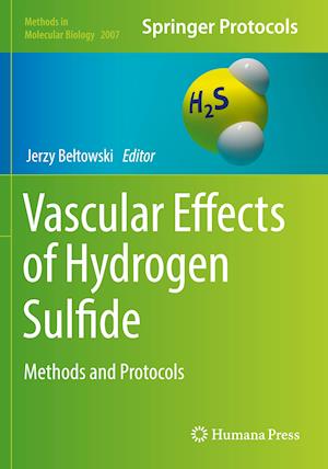 Vascular Effects of Hydrogen Sulfide