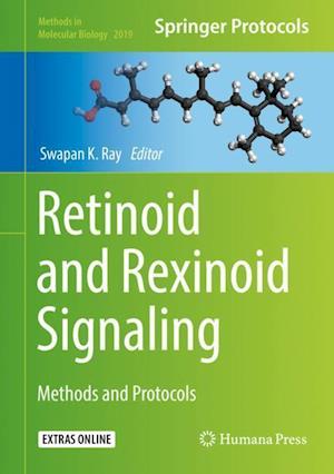 Retinoid and Rexinoid Signaling