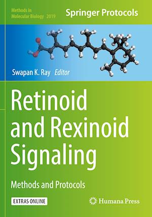 Retinoid and Rexinoid Signaling