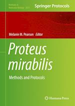 Proteus mirabilis