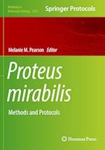 Proteus mirabilis