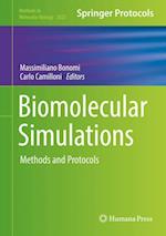 Biomolecular Simulations