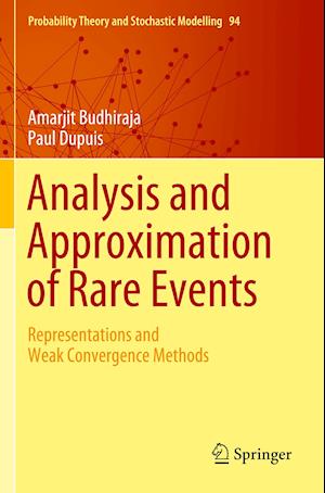 Analysis and Approximation of Rare Events