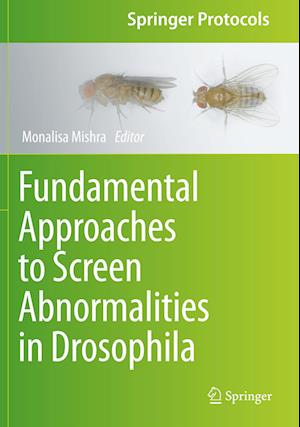 Fundamental Approaches to Screen Abnormalities in Drosophila