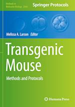 Transgenic Mouse