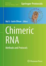 Chimeric RNA