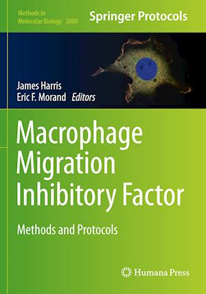 Macrophage Migration Inhibitory Factor