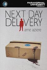 Next Day Delivery