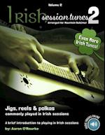 Irish Session Tunes (For Dulcimer), Volume 2