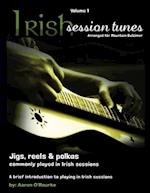 Irish Session Tunes (For Dulcimer), Volume 1