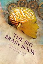 The Big Brain Book