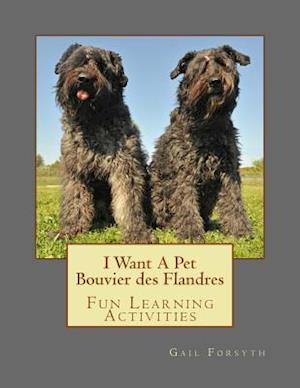 I Want a Pet Bouvier Des Flandres