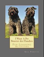 I Want a Pet Bouvier Des Flandres