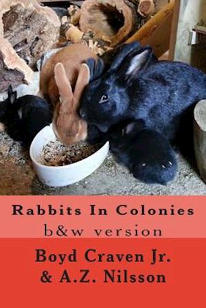 Rabbits in Colonies