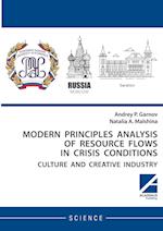 Modern principles analysis of resource flows in crisis conditions