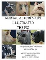 Animal Acupressure Illustrated the Pig